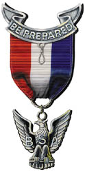 Eagle Scout Award